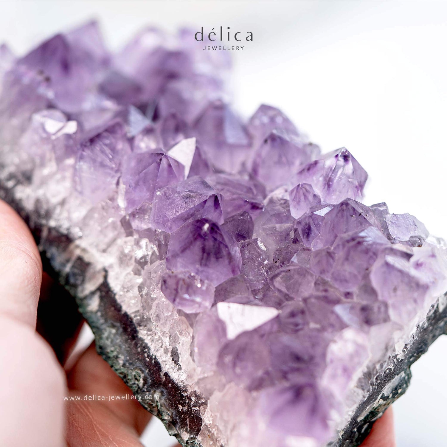 Crystals & Minerals